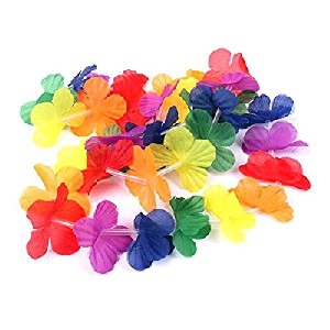 hula-leis-multi-colour